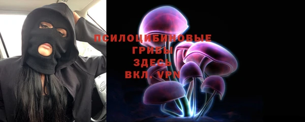 крисы Богородск