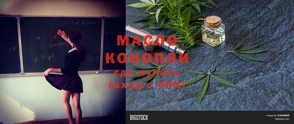 крисы Богородск