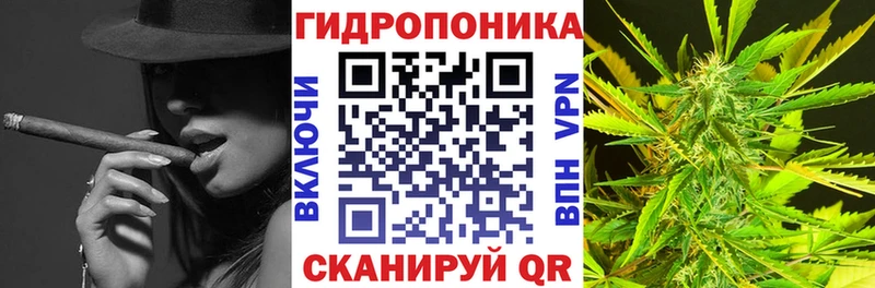 Бошки Шишки индика  Купить закладки  Кубинка 